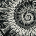 Ascension