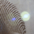 Lifting Fingerprints